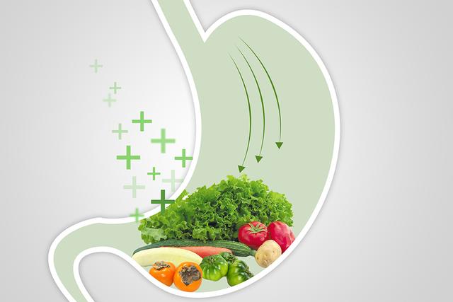 腸胃毒素多導致的肚子大應該怎樣排毒養(yǎng)顏