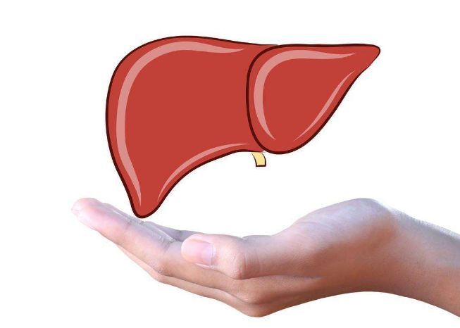 這四種食物平時多吃飲食養(yǎng)肝不再難