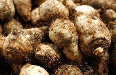 芋頭和哪些食材一起燉著吃營養更好-易網健康<a href=http://www.gyfww.com/jkys/ target=_blank class=infotextkey>養生</a>網 芋頭和哪些食材一起燉著吃營養更好