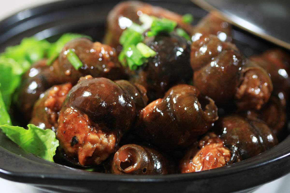 田螺肉不僅美味還有豐富的功效與作用-易網健康<a href=http://www.gyfww.com/jkys/ target=_blank class=infotextkey>養生</a>網 田螺肉不僅美味還有豐富的功效與作用