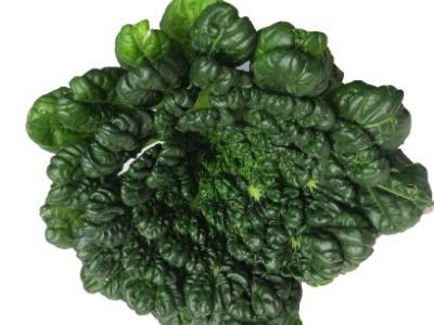 塔菜的營養(yǎng)價值以及塔菜功效與作用