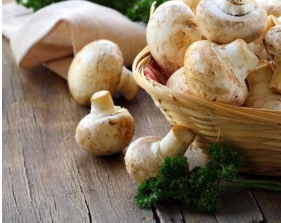 女性懷孕后孕晚期需要補充哪些營養(yǎng)