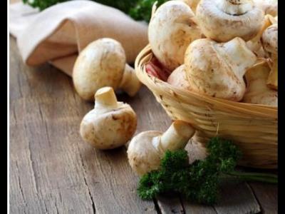 女性懷孕后孕晚期需要補充哪些營養(yǎng)