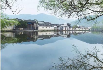 右邊臉頰老是長痘痘如何恢復