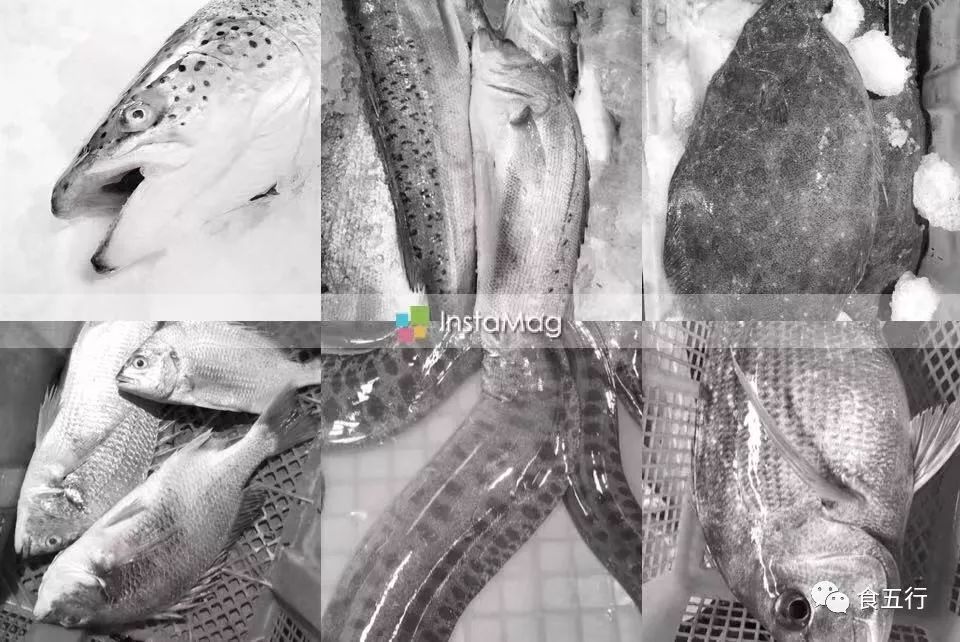 特殊時期的幼兒飲食