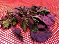 這幾款茶和粥，幫你健脾養(yǎng)胃化痰止咳！