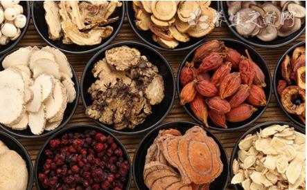 食用中藥材黃芪進行制作食物的禁忌