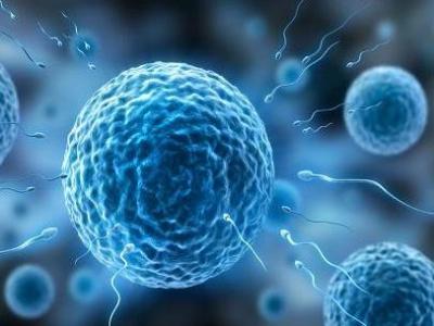 男性精子和性能力常見的錯誤認知解答