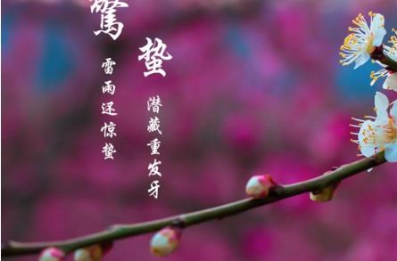 工作學(xué)習(xí)常吃這六種食物提神醒腦有精神