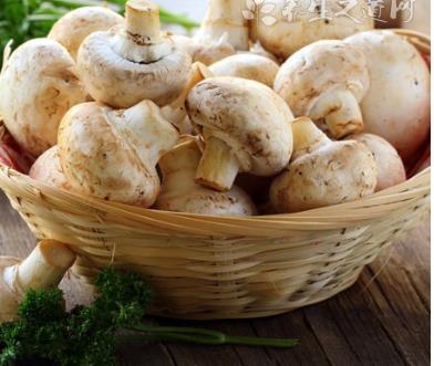 哪些食物有殺菌和防感染增強(qiáng)免疫力的功效