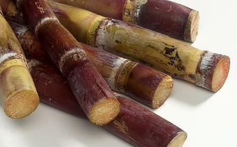 變紅發霉的甘蔗放久了還能吃嗎