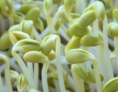 夏季如何科學養生