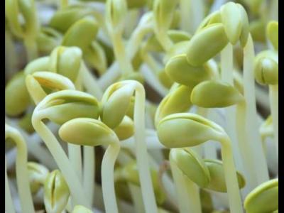 夏季如何科學養生