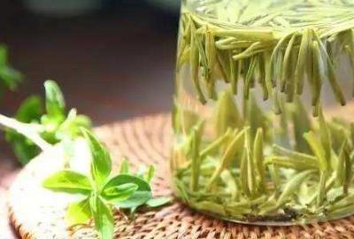 泡水喝野藤茶填補(bǔ)身體碳水化合物保健作用