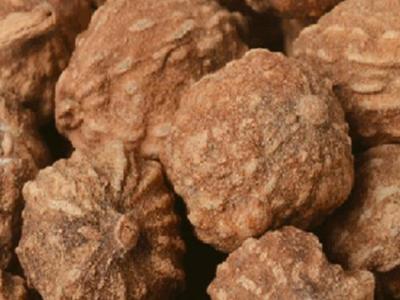 益智仁中藥對男性保健養生實際效果怎樣