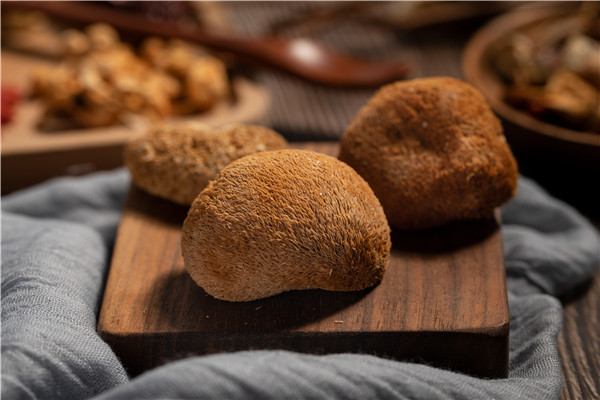 猴頭菇的作用與功效