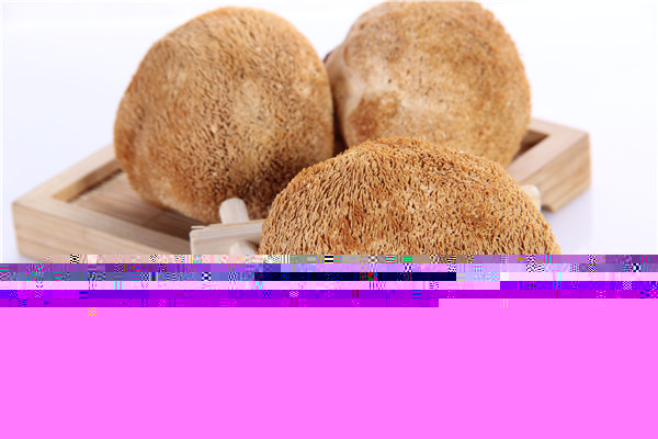 猴頭菇的作用與功效