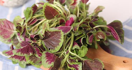 營養與美味紅莧菜飲食相克解答