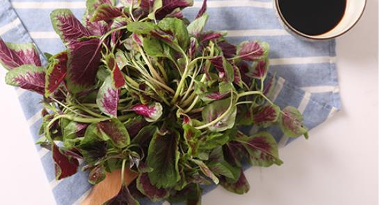 食用紅菜能使身體補充什么營養