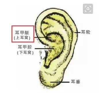 這一位置，拉的越大，腎就就越好，男人女人都合適