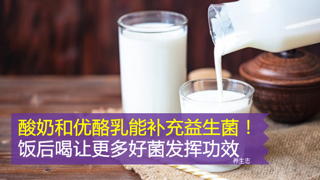 酸奶和優酪乳能補充益生菌！飯后喝讓更多好菌發揮功效