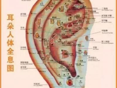 這一位置，拉的越大，腎就就越好，男人女人都適合