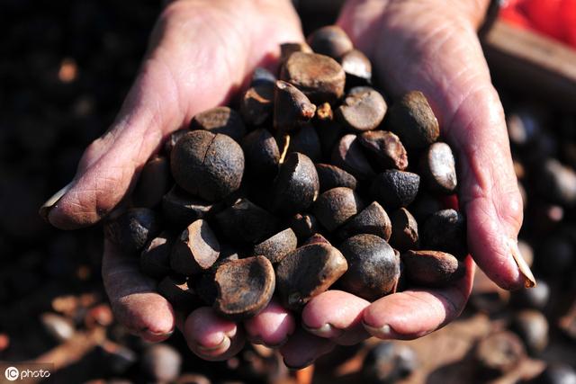 腸胃不好的人！多按這3個穴道加一油！若能堅持不懈1禮拜，會胃越變越好