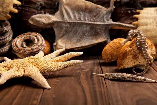 中醫學養生順口溜與養生三字經，太好用了