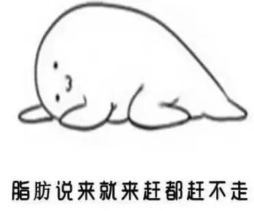 餐后一個奇妙動作，吃再好也不害怕長胖了