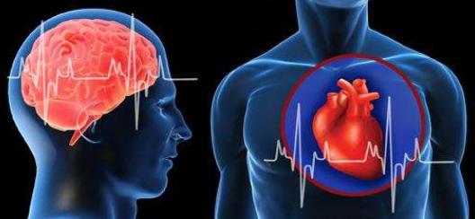 10個最長壽的人健康養生感受，學會了其實不是很難