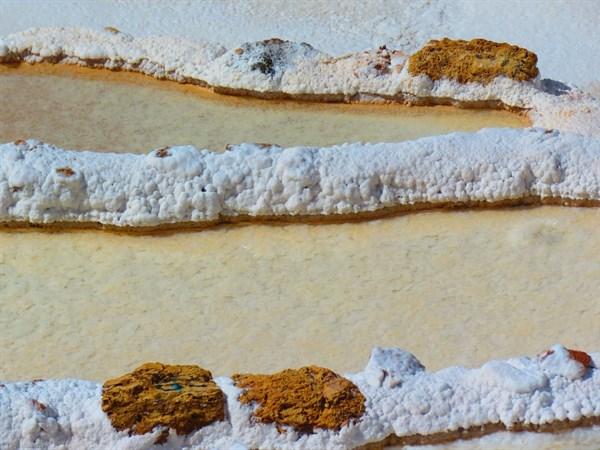 清晨醒來喝一杯蜂蜜檸檬水？高級營養師解釋：喝這2翡翠的種才最健康養生