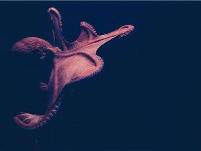 學(xué)中醫(yī)養(yǎng)身，這4個方法都是“根本所在”！簡單功能強(qiáng)大