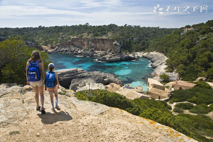 地中海貧血是什么