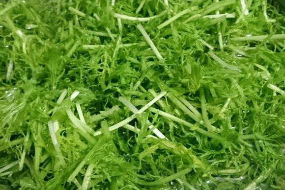 銀絲菜的作用與功效