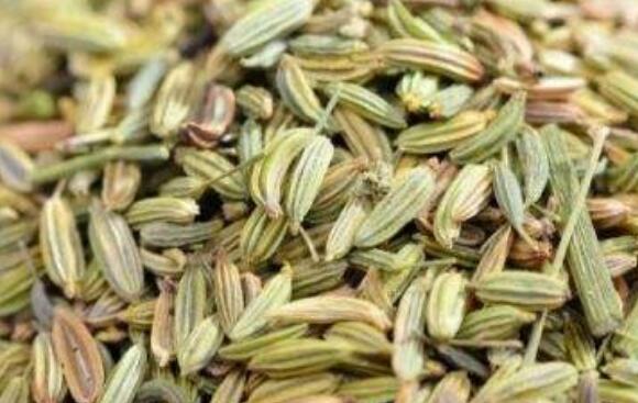 小茴香籽如何吃 小茴香籽的吃法