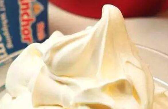 乳酪干怎樣做 手工制作自制奶酪干的作法