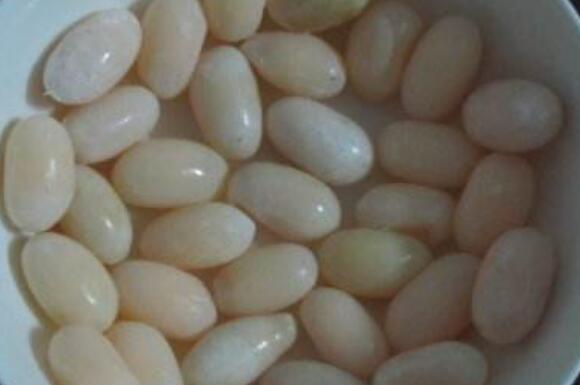 甲魚蛋如何吃 甲魚蛋怎么做好吃