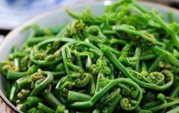 吃水蕨菜有哪些好處呢 水蕨菜有致癌物質嗎