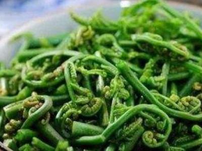 吃水蕨菜有哪些益處呢 水蕨菜有致癌物質(zhì)嗎
