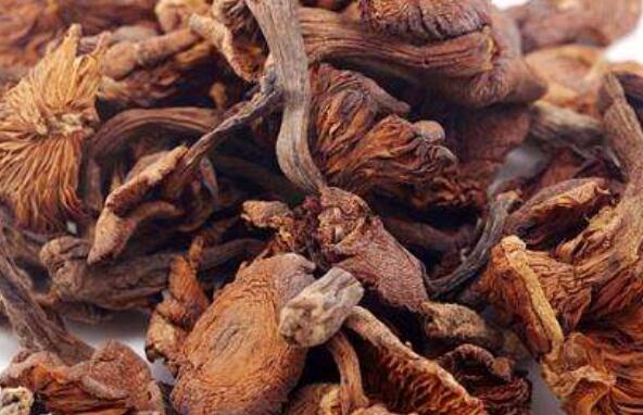 干蘑菇的作用與功效 吃干蘑菇的益處有什么