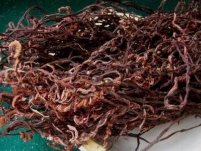 赤蕨干的作用與功效 吃赤蕨干的好處