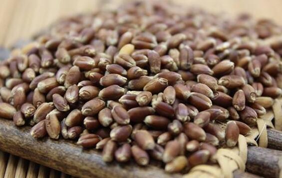 黑麥仁怎么煮粥 黑麥仁粥的做法教程