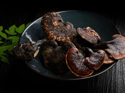 靈芝孢子粉的益處