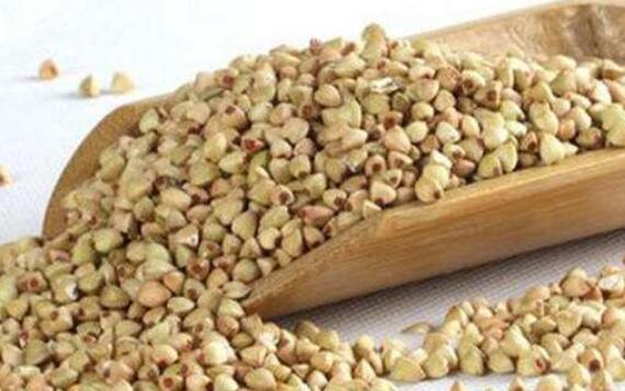 青稞粥如何熬 青稞粥的做法教程