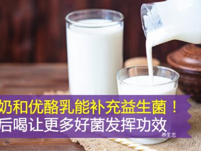 酸奶和優酪乳能補充益生菌！飯后喝讓更多好菌發揮功效