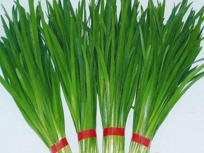 補(bǔ)腎吃什么？ 韭菜效果佳