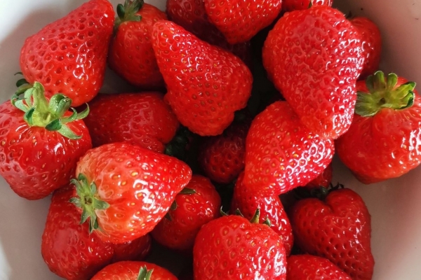 懷孕初期可以吃香椿嗎 懷孕初期適合吃的水果