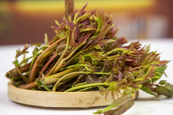 香椿可以曬干保存嗎 香椿怎么曬干