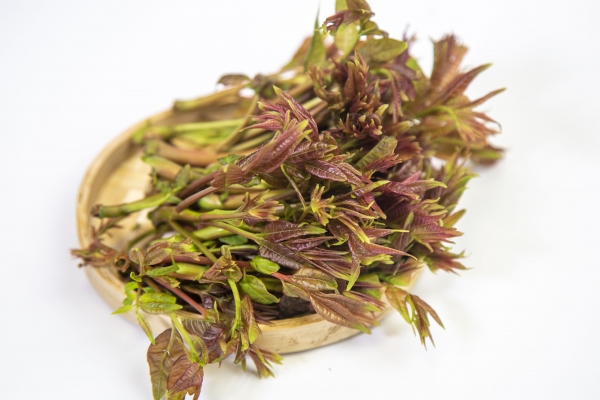 哺乳期媽媽能吃香椿嗎 哺乳期媽媽適合吃什么水果