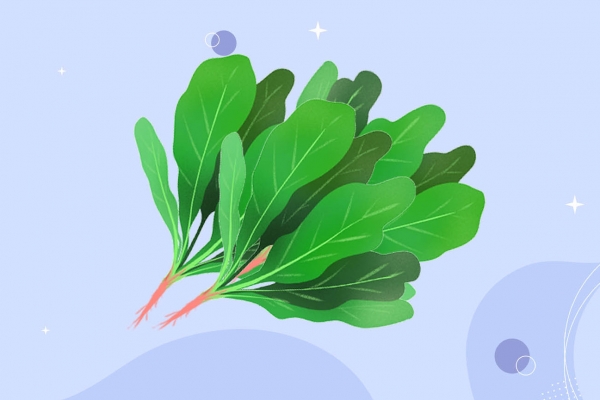 豆腐和菠菜可以一起吃嗎 吃豆腐和菠菜的好處